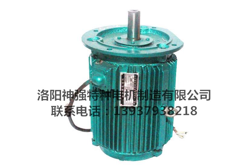 導(dǎo)致冷卻塔專用電機出現(xiàn)缺相原因有哪些