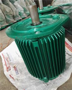 BNL2型冷卻塔專(zhuān)用電機(jī)