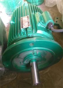 冷卻塔專(zhuān)用電機(jī)